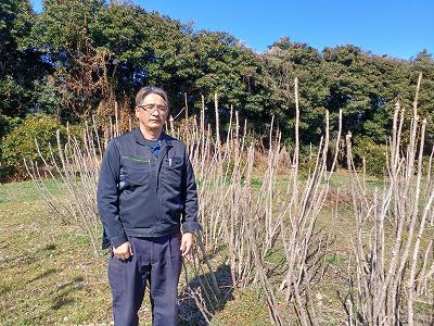 前川　温 たらのき