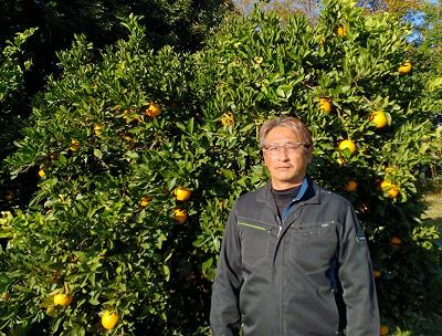 前川果樹園/前川 温 中晩柑類
