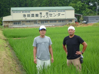 池田　長義 水稲