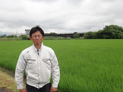 イケムラライス/池村　一郎 水稲