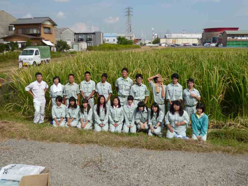 三重県立四日市農芸高校 まこもたけ