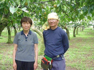 日沖　渉 なし