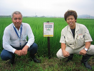 森日光有限会社 水稲