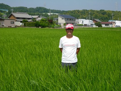 野呂　圭祐 水稲