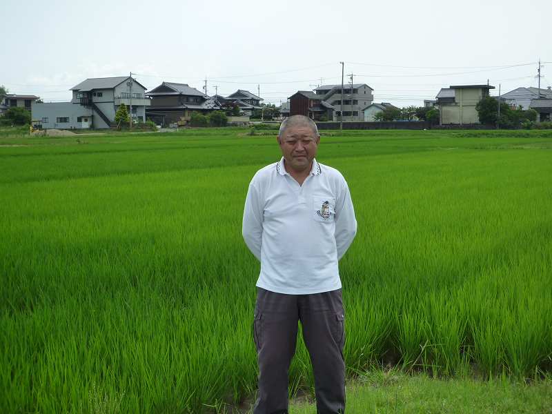 稲垣　孝義 水稲