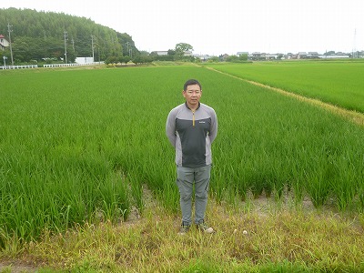 株式会社加藤農場 水稲
