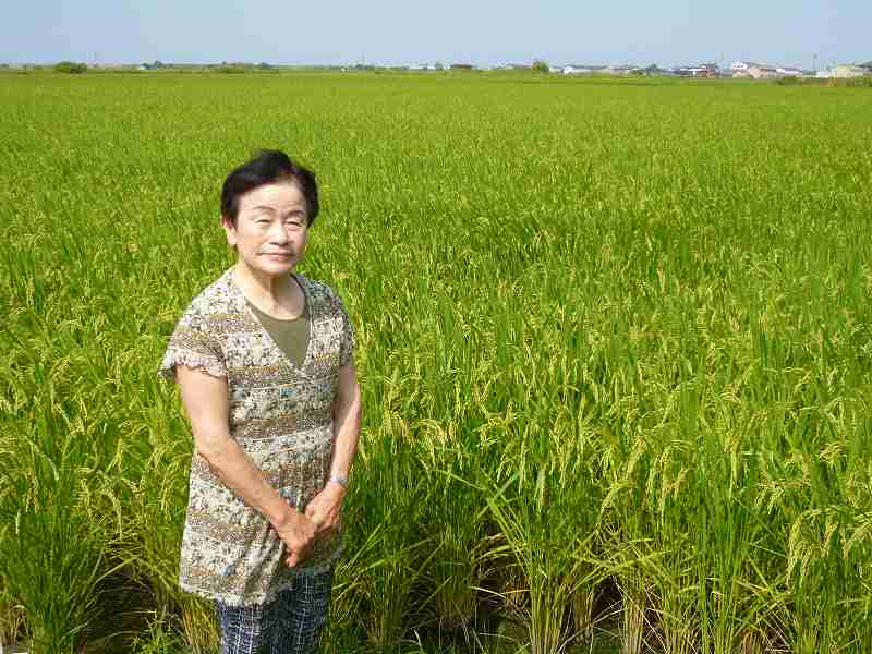 村治　かつ代 水稲