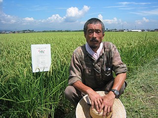 株式会社アグリＳ松阪 水稲