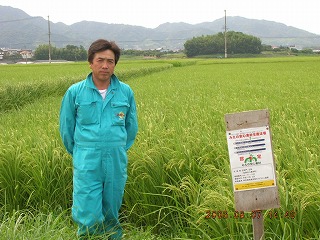 株式会社古御門ライス 水稲