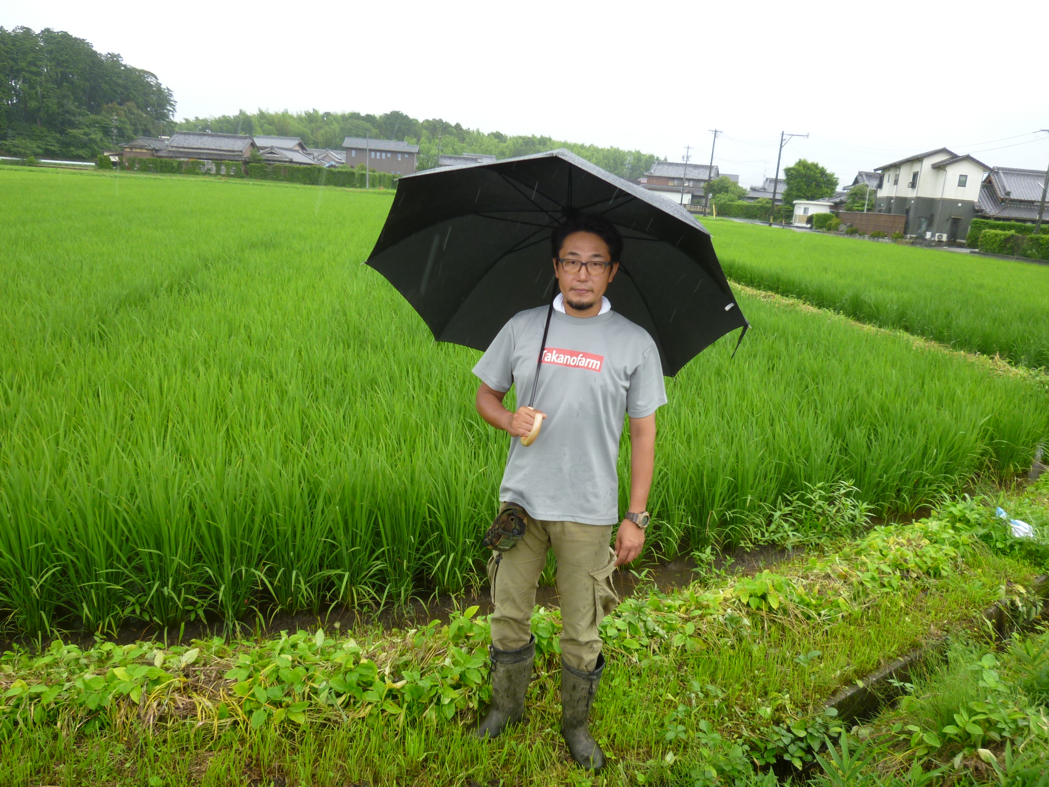 株式会社タカノファーム 水稲