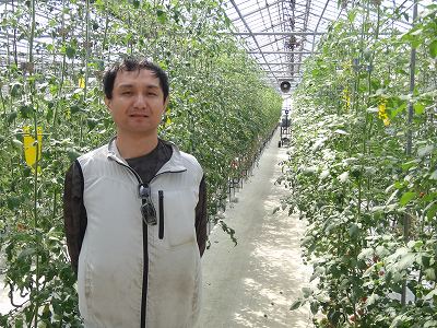 中村農園/中村　孔軌 ミニトマト