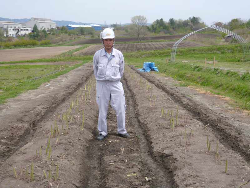 農事組合法人ねぎぼーず アスパラガス