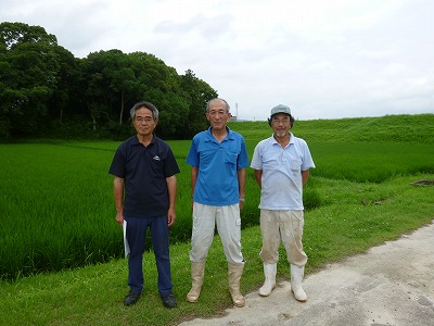 大野木営農組合 水稲