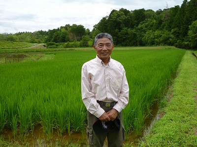 福井　清孝 水稲