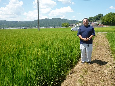 中井　ミサキ 水稲