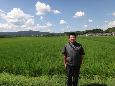 有限会社門脇有機農園 水稲