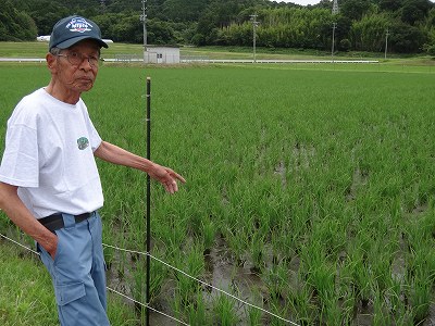 東　明博 水稲