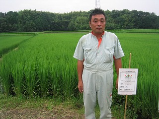 伊藤　浩志 水稲