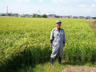 株式会社杉本農産 水稲