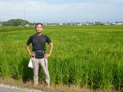有限会社三鳳園 水稲