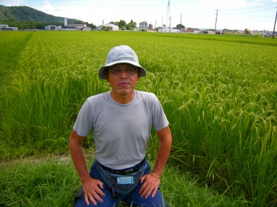 米山　芳久 水稲
