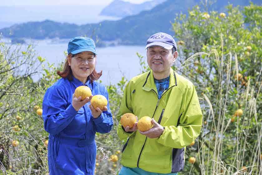 柳川　明彦 中晩柑類