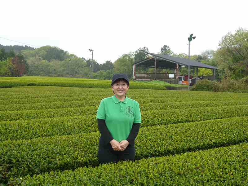 伊達　亀嘉 茶