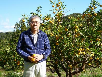 前川　茂 温州みかん