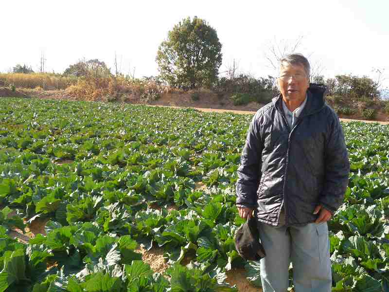 垣野　峰男 キャベツ