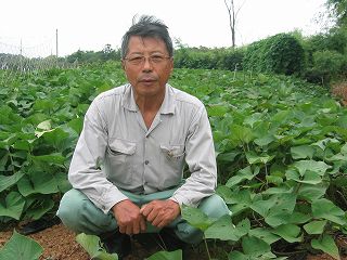 垣野　峰男 さつまいも