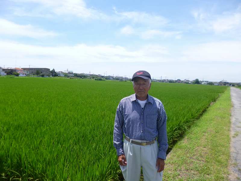 加藤　憲幸 水稲