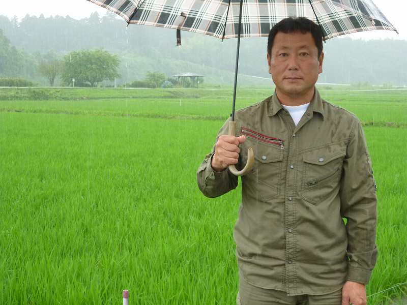 いなべ特別栽培米生産部会 水稲