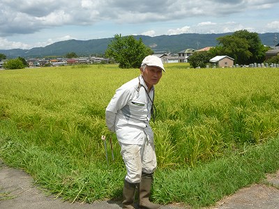 株式会社安心食品の店 水稲