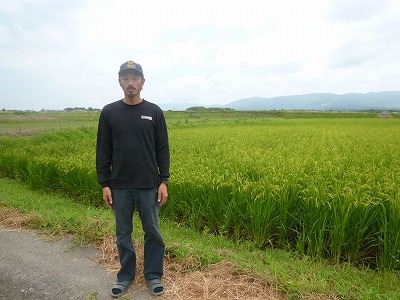 伊藤　祐太 水稲