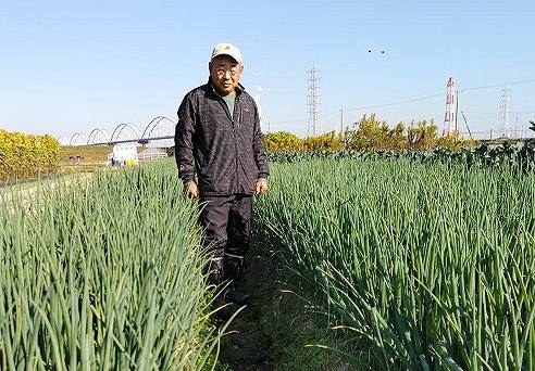 坂倉　常夫 ねぎ