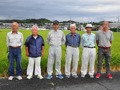 ライスファーム・アグリ朝日 水稲