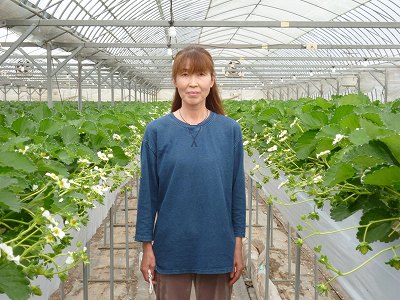喜多いちご園/喜多　純子 いちご