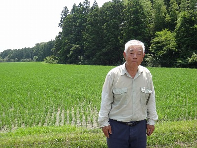 岡本　隆夫 水稲