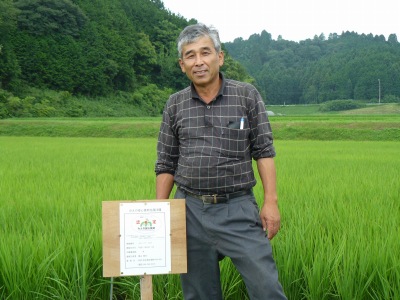 横山　重治 水稲