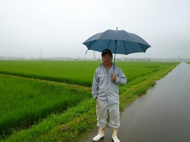 浅生　哲也 水稲