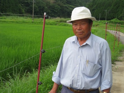 有限会社イケダグリーン 水稲