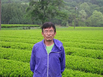 長谷川製茶有限会社 茶