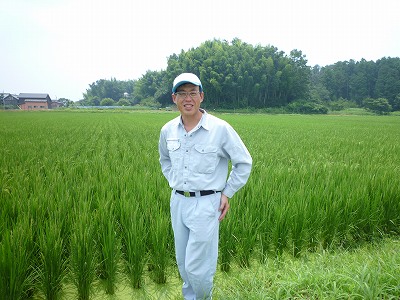 株式会社安保農園 水稲