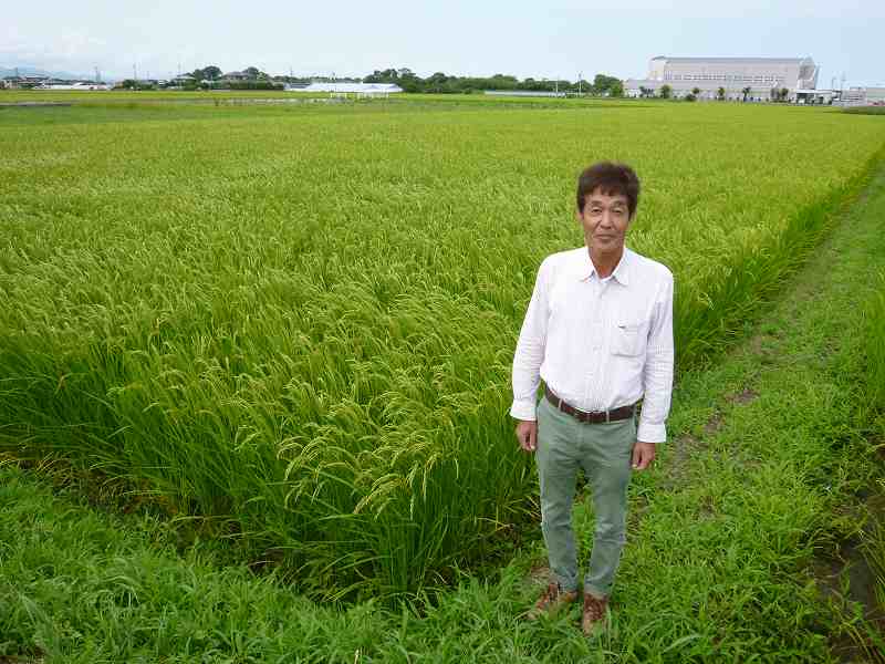 荒川　成樹 水稲