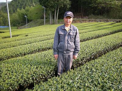 有限会社ヤマキ高橋製茶園 茶