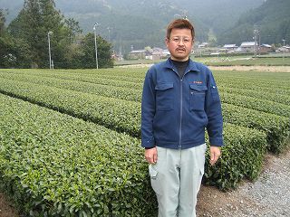 吉田　英希 茶