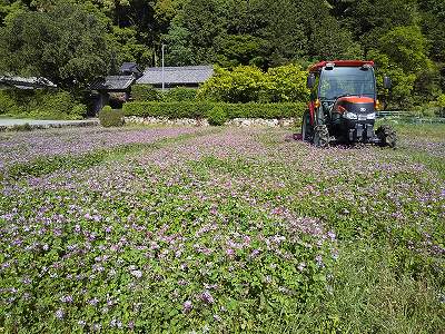 農事組合法人元丈の里営農組合 水稲