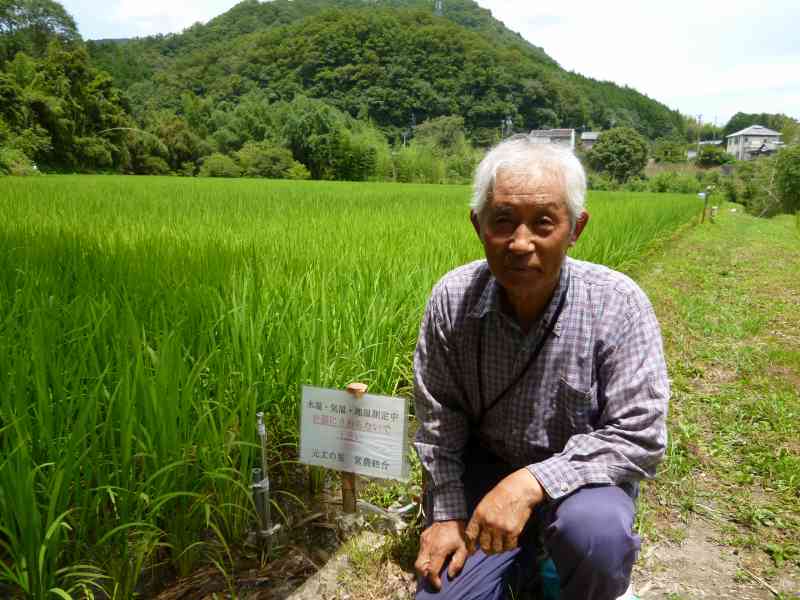 農事組合法人元丈の里営農組合 水稲