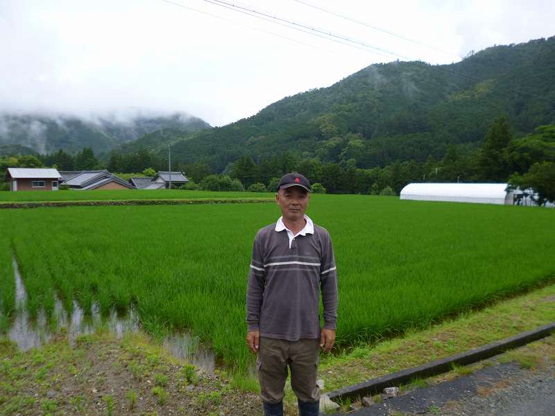 岡村　安雄 水稲