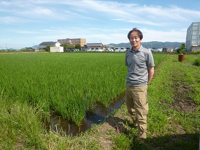 中西　金治 水稲